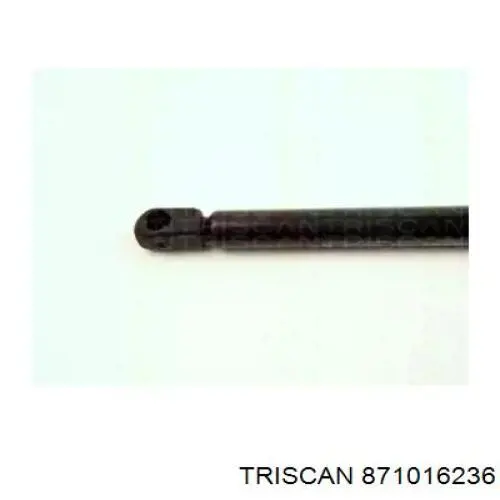 871016236 Triscan