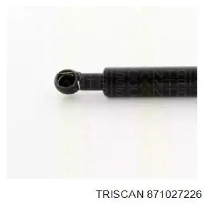 Амортизатор задней двери Japan Parts ZS03113 цена, от 11.62 USD