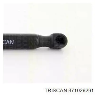 Амортизатор багажника GS1145 Magneti Marelli
