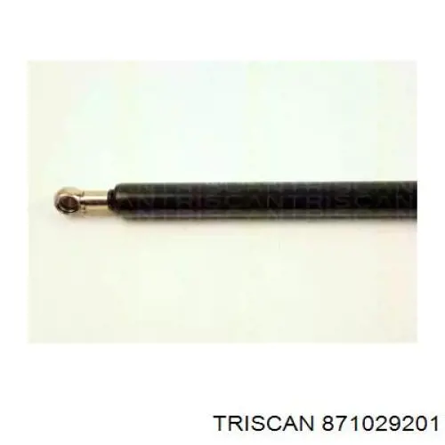 871029201 Triscan