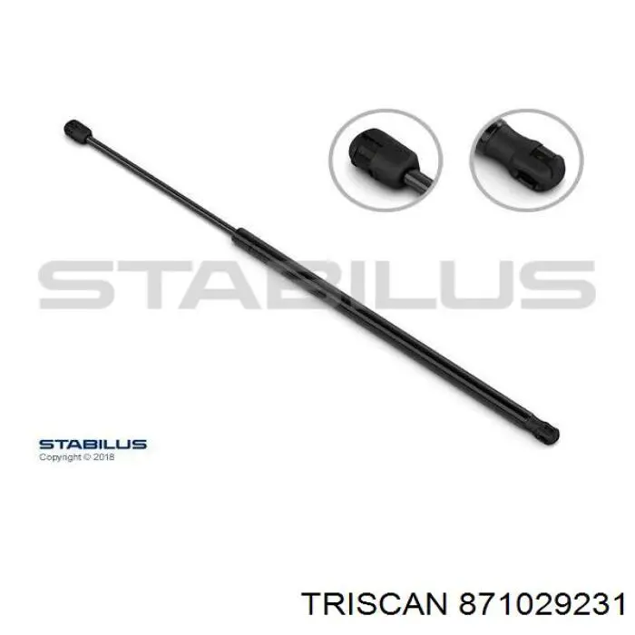 Амортизатор задней двери Triscan 871029231 цена, от 7.22 USD