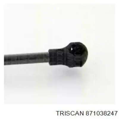 Амортизатор задней двери Lesjofors 8115668 цена, от 16.15 USD