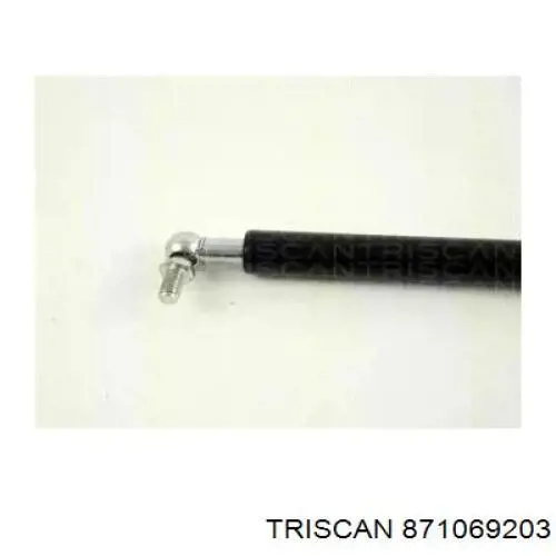 Амортизатор задней двери Magneti Marelli 430719009000 цена, от 14.41 USD