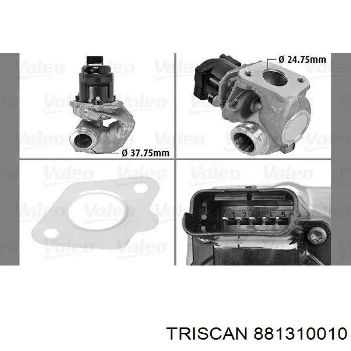 881310010 Triscan