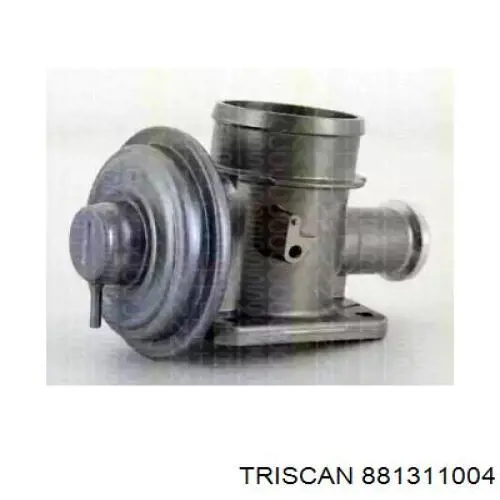 881311004 Triscan