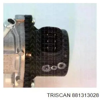 881313028 Triscan клапан егр