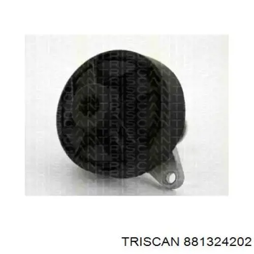 Байпасный клапан EGR, рециркуляции газов Triscan 881324202