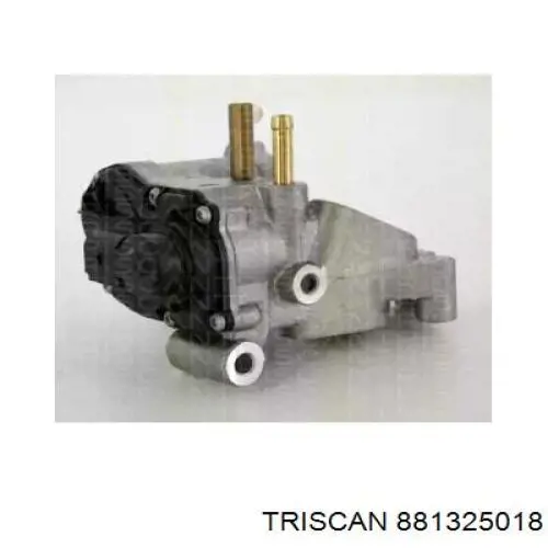 881325018 Triscan клапан егр