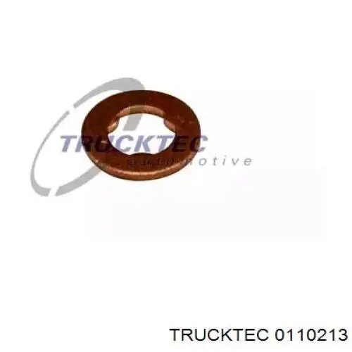 01.10.213 Trucktec кольцо (шайба форсунки инжектора посадочное)