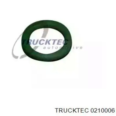 Уплотнительное кольцо маслозаливной горловины 0210006 Trucktec