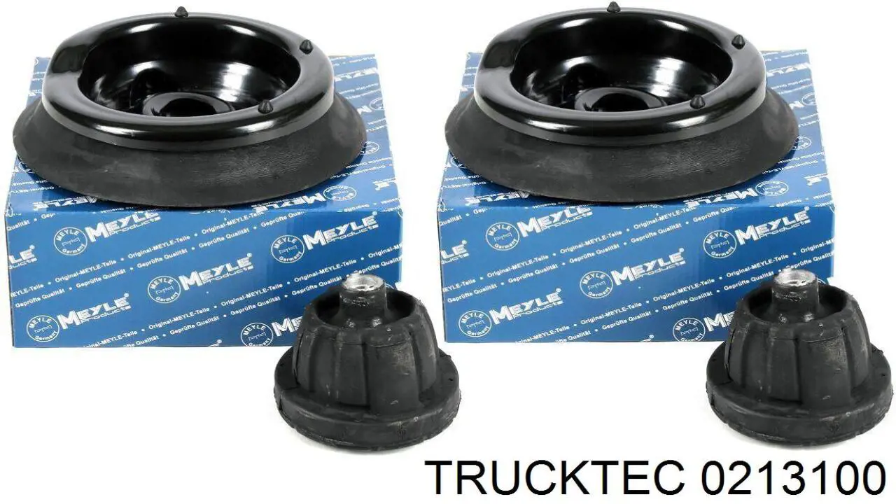 Купить 0213100 Trucktec Кронштейн крепления форсунки