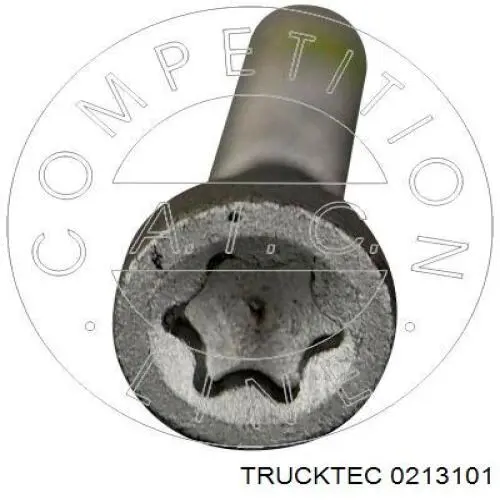 Болт крепления форсунки Trucktec 0213101 цена, от 1.50 USD