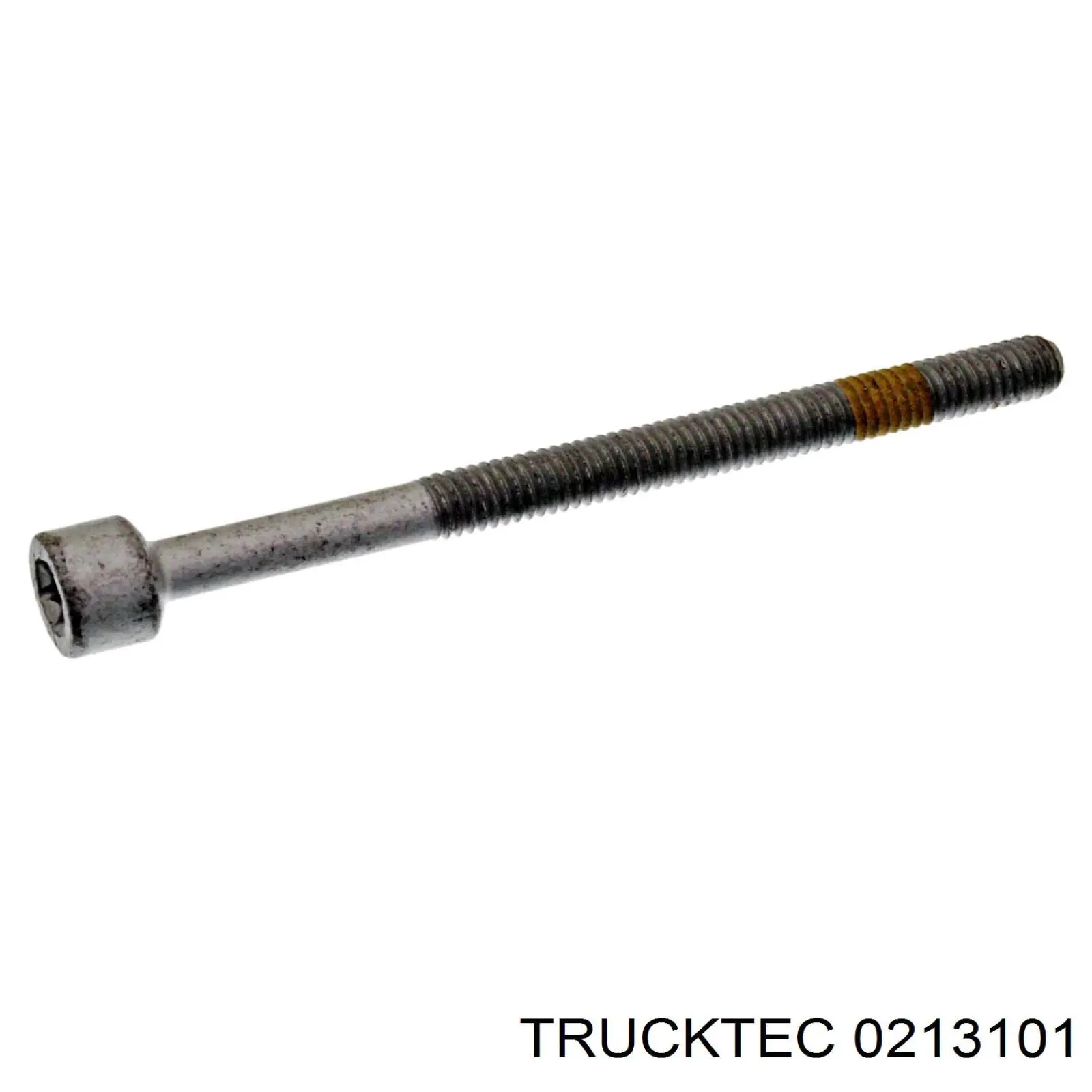 Болт кріплення форсунки 0213101 Trucktec