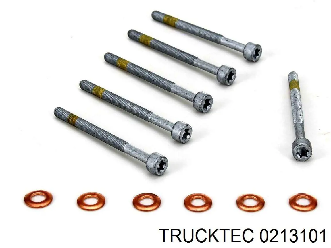Купить 0213101 Trucktec Болт крепления форсунки