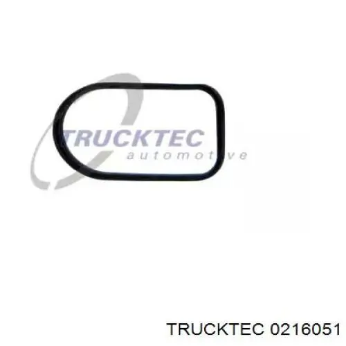 Прокладка впускного коллектора 0216051 Trucktec