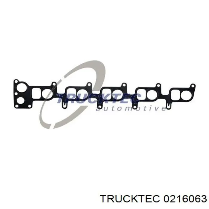 Прокладка впускного коллектора 0216063 Trucktec