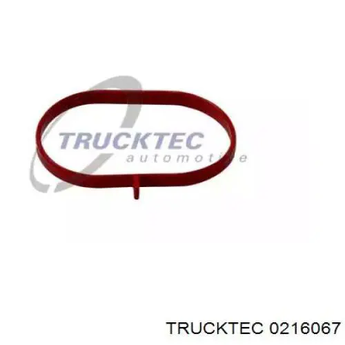 02.16.067 Trucktec прокладка впускного коллектора