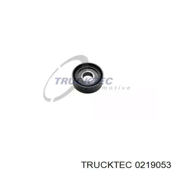 Паразитный ролик 0219053 Trucktec