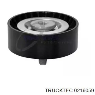 Паразитный ролик 0219059 Trucktec