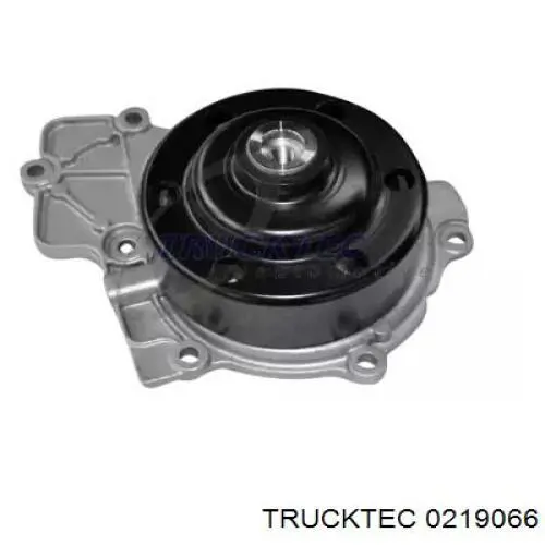 Помпа 0219066 Trucktec