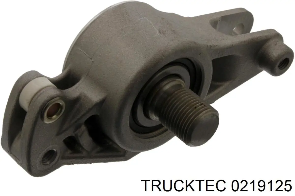 Роликовий модуль натяжителя ремня Trucktec 0219125 цена, от 29.20 USD