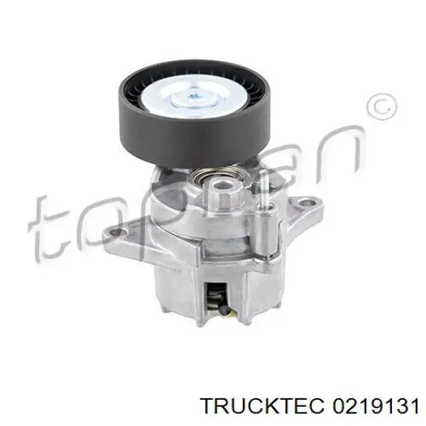 Роликовий модуль натяжителя ремня Trucktec 0219131 цена, от 25.97 USD