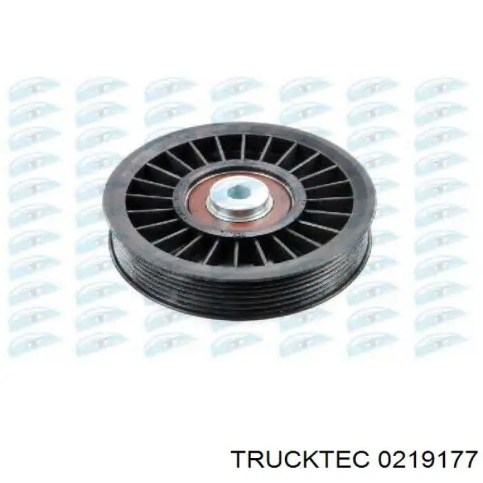 Паразитный ролик 0219177 Trucktec