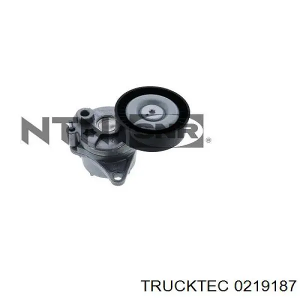 Натяжной ролик 0219187 Trucktec
