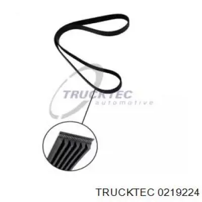 0219224 Trucktec ремень генератора