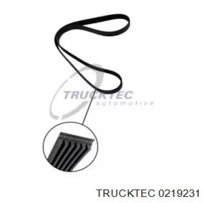 0219231 Trucktec ремень генератора