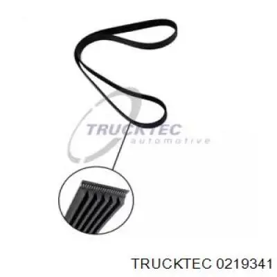 Ремень генератора 0219341 Trucktec