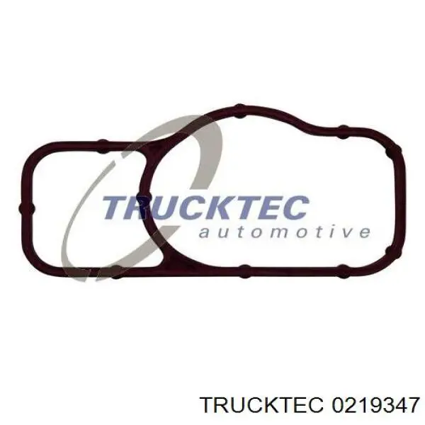 Прокладка водяной помпы 0219347 Trucktec