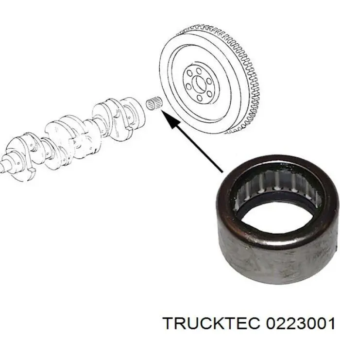 02.23.001 Trucktec rolamento de suporte da árvore primária da caixa de mudança (rolamento de centragem de volante)
