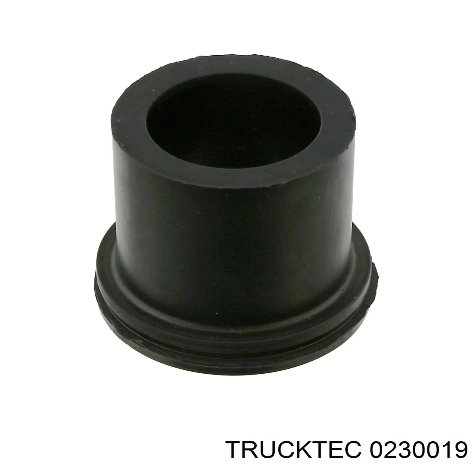 Casquillo del cojinete, ballesta trasera, de metal 0230019 Trucktec