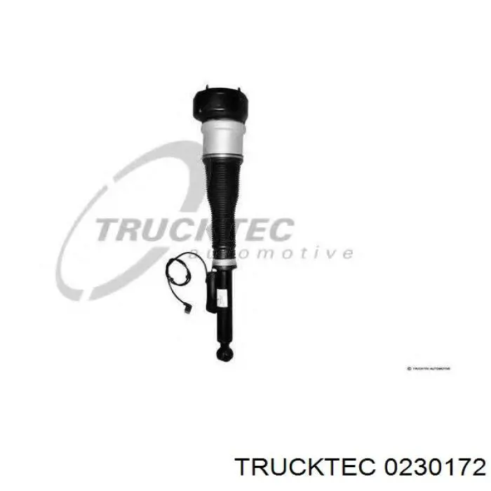 Амортизатор задний правый 0230172 Trucktec