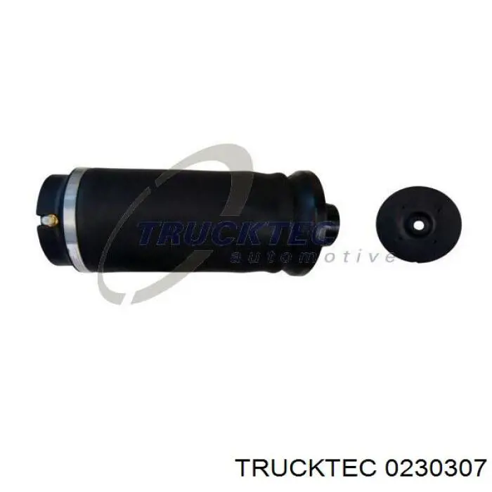 02.30.307 Trucktec coxim pneumático (suspensão de lâminas pneumática do eixo traseiro)