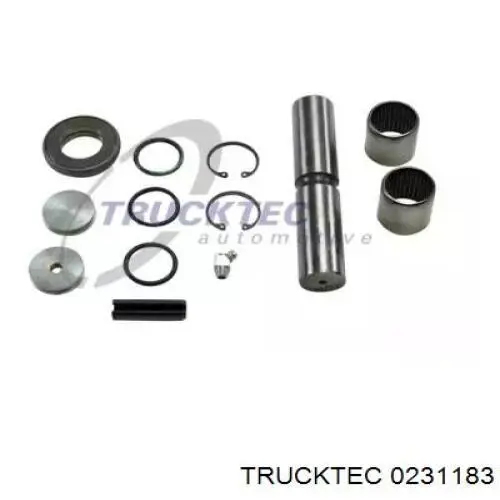 Шкворень поворотного кулака 0231183 Trucktec