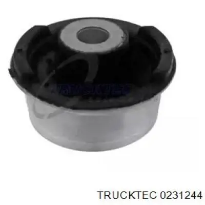 Сайлентблок переднего нижнего рычага 0231244 Trucktec