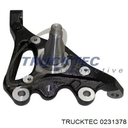 Цапфа (поворотный кулак) передний левый 0231378 Trucktec