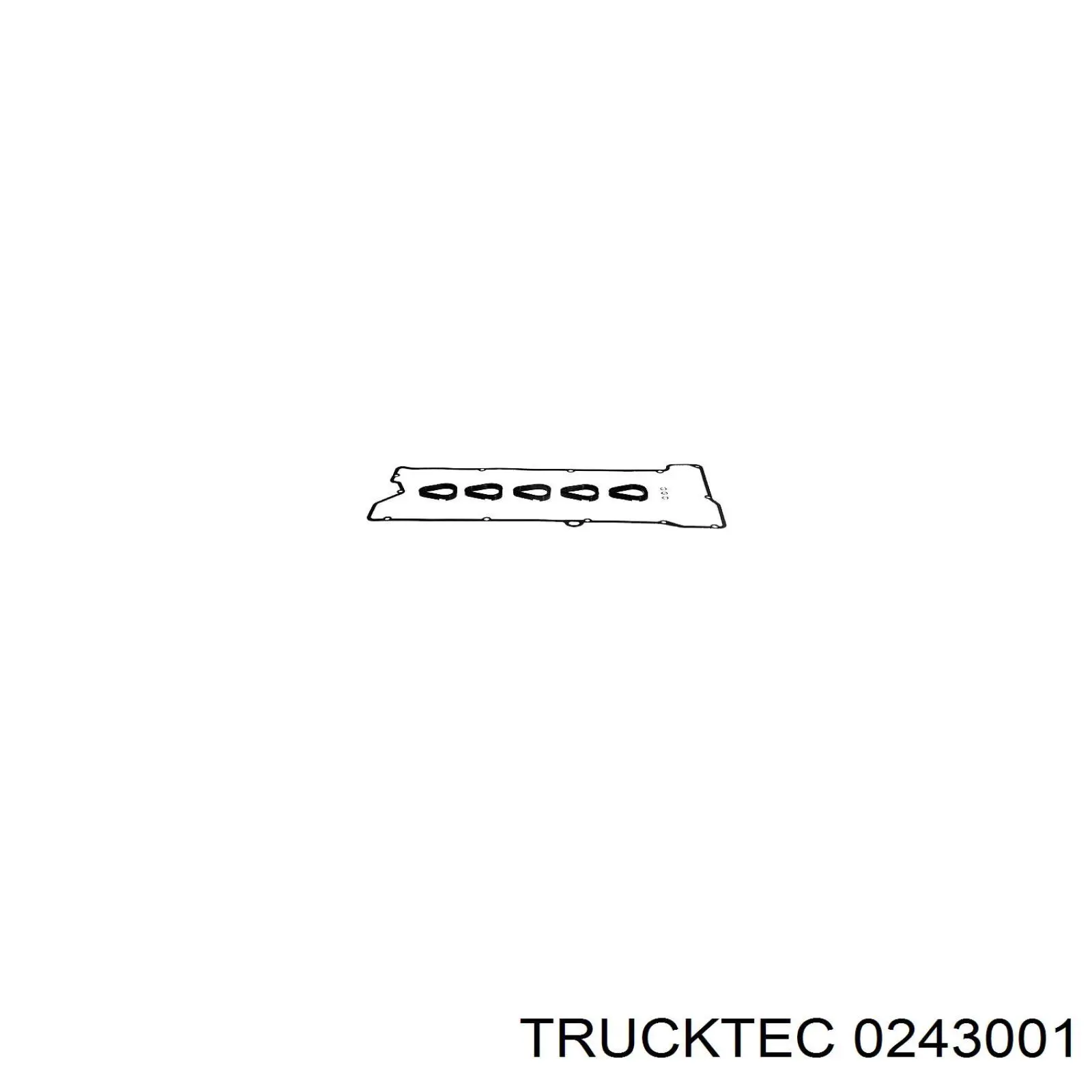 Прокладка клапанной крышки 0243001 Trucktec