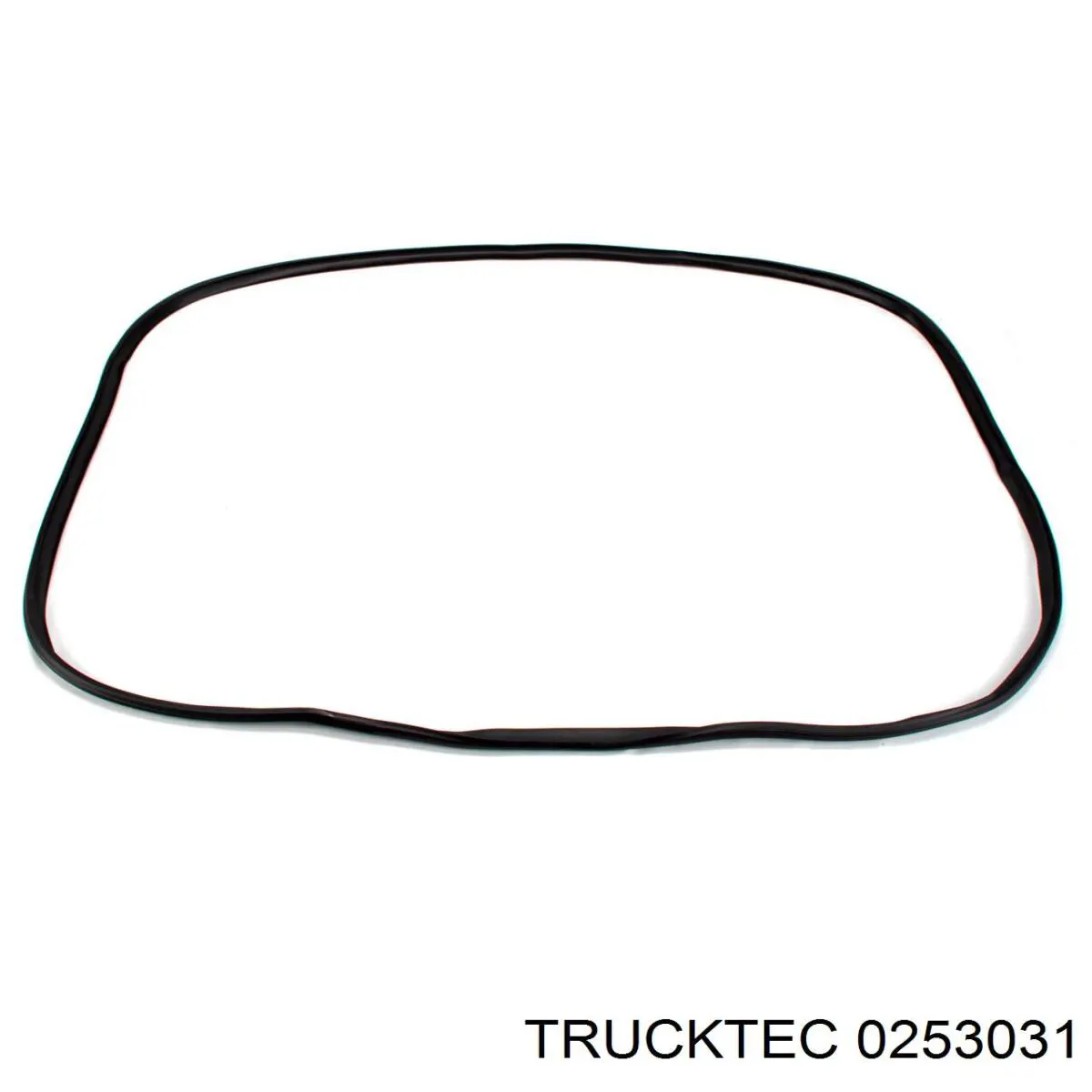  0253031 Trucktec