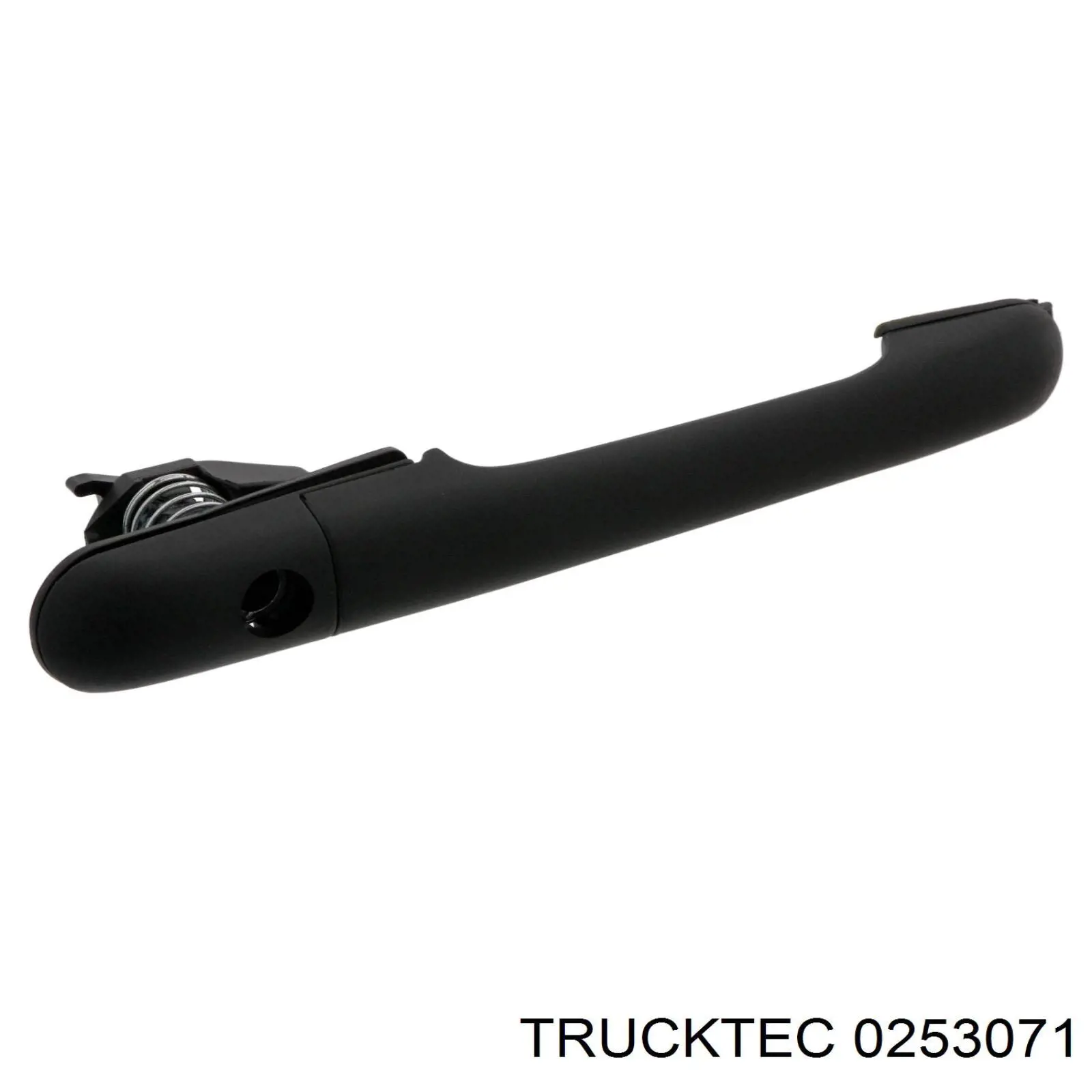 Tirador de puerta exterior delantero 0253071 Trucktec