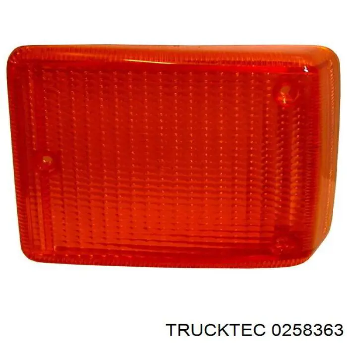 Указатель поворота зеркала левый 0258363 Trucktec