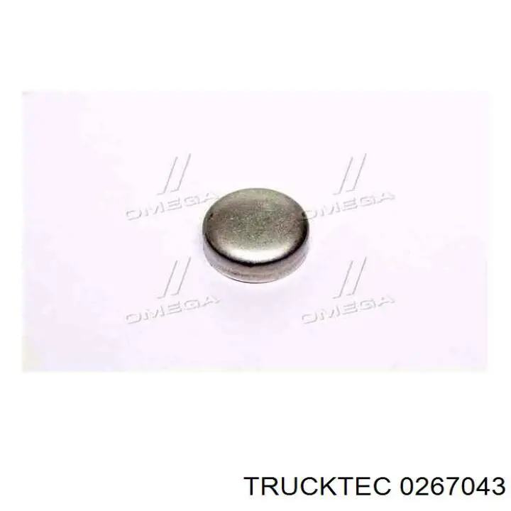 Tapón de culata 0267043 Trucktec