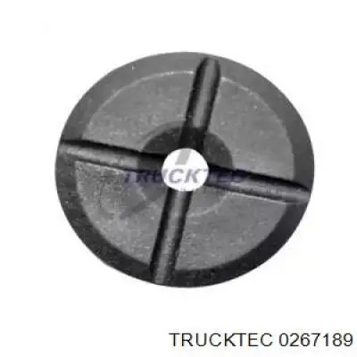 Болт (гайка) крепежа 0267189 Trucktec