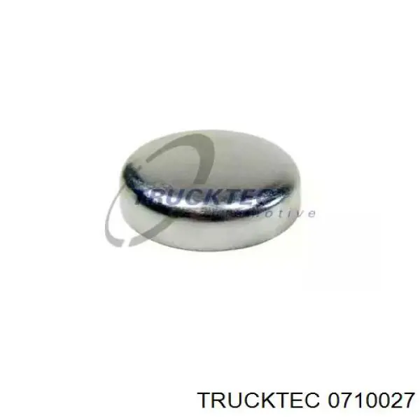 07.10.027 Trucktec заглушка гбц/блока цилиндров