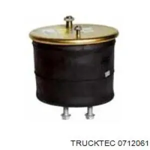 Купить 0712061 Trucktec Ролик натяжителя газораспределительного ремня