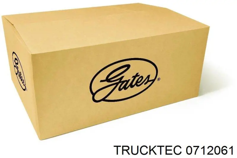 Ролик натяжителя ремня газораспределения Trucktec 0712061 цена, от 25.66 USD