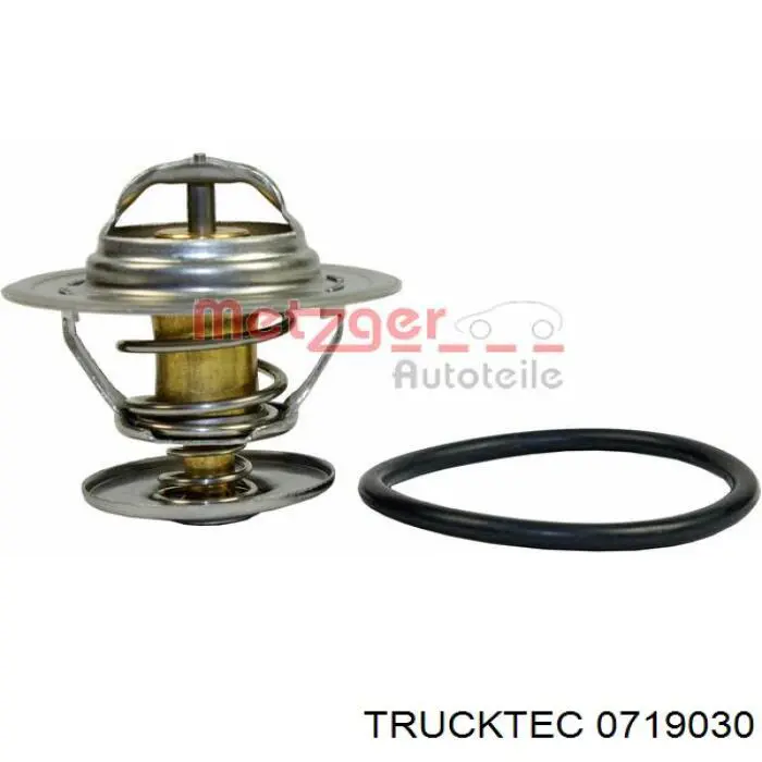Купить 0719030 Trucktec Автомобильный термостат