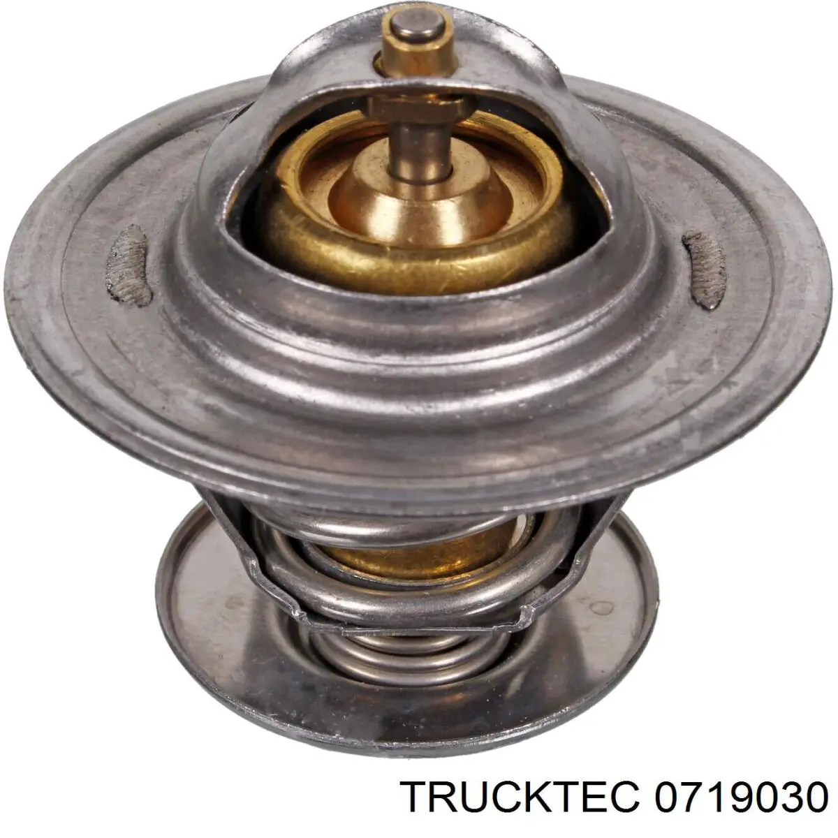 Термостат в корпусе Trucktec 0719030 цена, от 9.52 USD